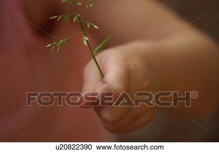 Stock Image - Close-up of a young girl holding a plant. Fotosearch
