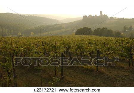 Baidia a Passignano - Tuscany, Italy View Large Photo Image Stock Image - Baidia a Passignano - Tuscany, Italy. Fotosearch