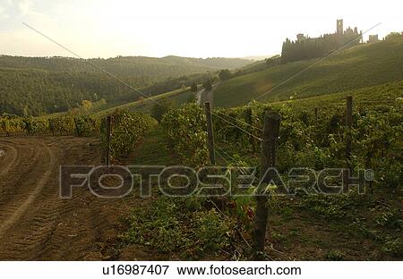 Baidia a Passignano - Tuscany, Italy View Large Photo Image Stock Photo - Baidia a Passignano - Tuscany, Italy. Fotosearch