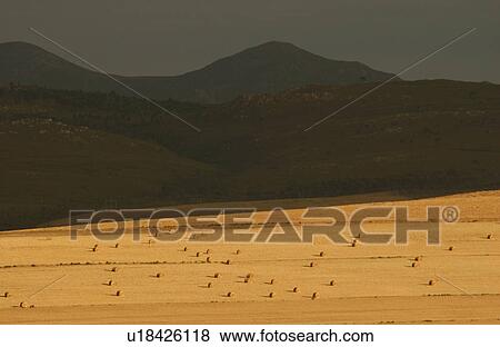Coastal Landscape - South Africa View Large Photo Image Stock Photo - Coastal Landscape - South Africa. Fotosearch