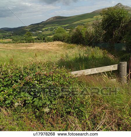 Countryside landscape with hills View Large Photo Image Stock Photo - Countryside landscape with hills. Fotosearch
