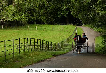 Ireland - Muckross House, Killarney- horse and cart on road View Large Photo Image Stock Photo - Ireland - Muckross House, Killarney- horse and cart on road. Fotosearch