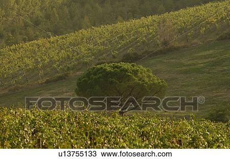 Stock Image - Landscapes. Fotosearch