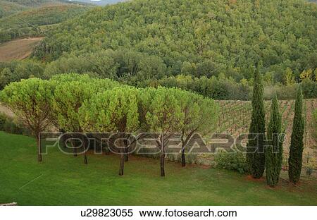 Stock Photography - Landscapes. Fotosearch