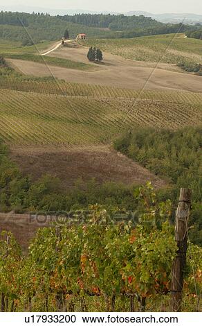 Stock Image - Landscapes - Tuscany, Italy. Fotosearch