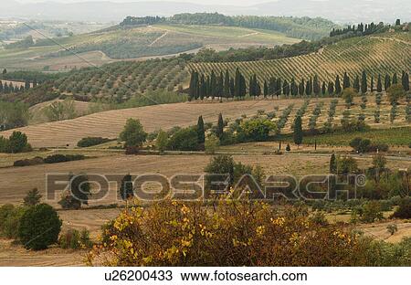 Stock Image - Landscapes - Tuscany, Italy. Fotosearch