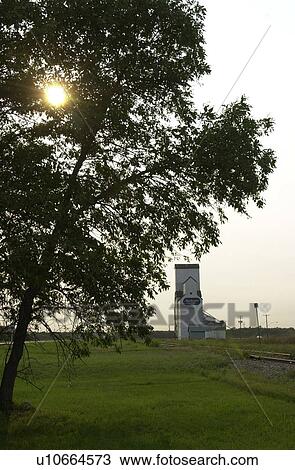 Manitoba Prairie Scenes View Large Photo Image Stock Image - Manitoba Prairie Scenes. Fotosearch