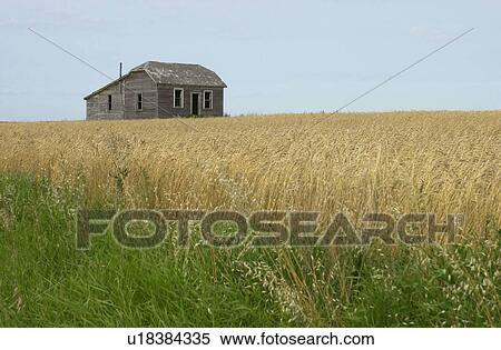 Stock Photography - Manitoba Prairie Scenes. Fotosearch