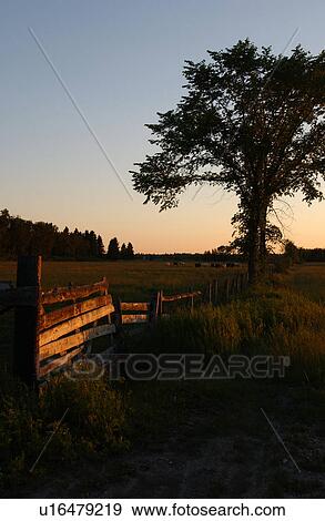 Rural area around Gimli, Manitoba View Large Photo Image Stock Photo - Rural area around Gimli, Manitoba. Fotosearch