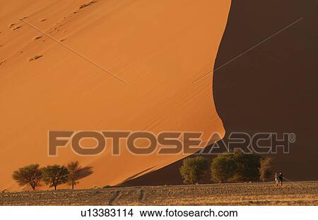 Sand Dunes of Sossusvlei - Namib desert, Namibia View Large Photo Image Picture - Sand Dunes of Sossusvlei - Namib desert, Namibia. Fotosearch
