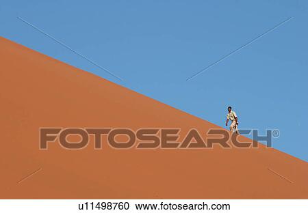 Sand Dunes of Sossusvlei - Namib desert, Namibia View Large Photo Image Stock Image - Sand Dunes of Sossusvlei - Namib desert, Namibia. Fotosearch