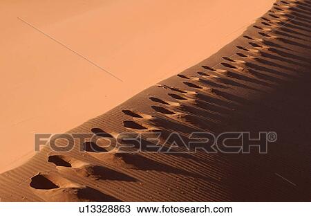 Sand Dunes of Sossusvlei - Namib desert, Namibia View Large Photo Image Stock Image - Sand Dunes of Sossusvlei - Namib desert, Namibia. Fotosearch