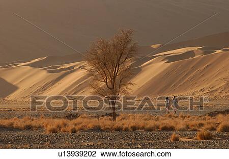 Sand Dunes of Sossusvlei - Namib desert, Namibia View Large Photo Image Stock Image - Sand Dunes of Sossusvlei - Namib desert, Namibia. Fotosearch