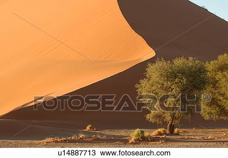 Stock Image - Sand Dunes of Sossusvlei - Namib desert, Namibia. Fotosearch