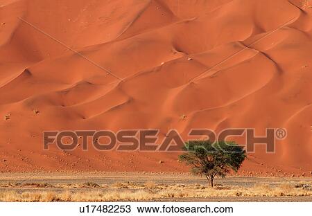 Sand Dunes of Sossusvlei - Namib desert, Namibia View Large Photo Image Stock Image - Sand Dunes of Sossusvlei - Namib desert, Namibia. Fotosearch