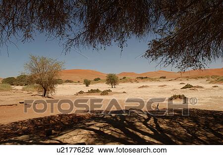 Stock Image - Sand Dunes of Sossusvlei - Namib desert, Namibia. Fotosearch