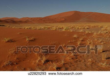 Stock Image - Sand Dunes of Sossusvlei - Namib desert, Namibia. Fotosearch