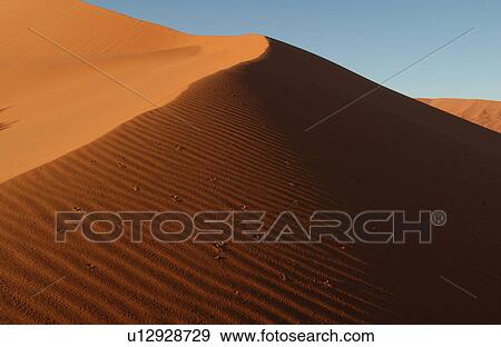 Sand Dunes of Sossusvlei - Namib desert, Namibia View Large Photo Image Stock Photo - Sand Dunes of Sossusvlei - Namib desert, Namibia. Fotosearch