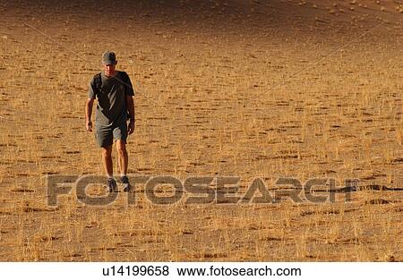Sand Dunes of Sossusvlei - Namib desert, Namibia View Large Photo Image Stock Photo - Sand Dunes of Sossusvlei - Namib desert, Namibia. Fotosearch