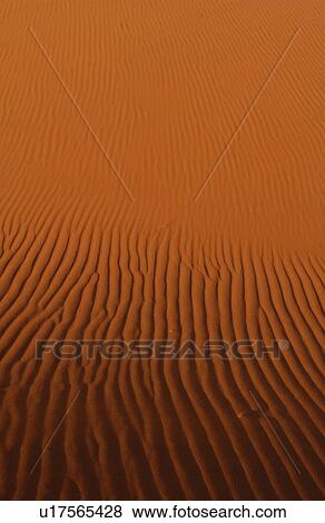 Sand Dunes of Sossusvlei - Namib desert, Namibia View Large Photo Image Stock Photo - Sand Dunes of Sossusvlei - Namib desert, Namibia. Fotosearch