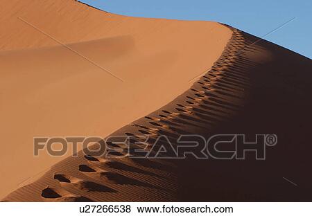 Sand Dunes of Sossusvlei - Namib desert, Namibia View Large Photo Image Stock Photo - Sand Dunes of Sossusvlei - Namib desert, Namibia. Fotosearch