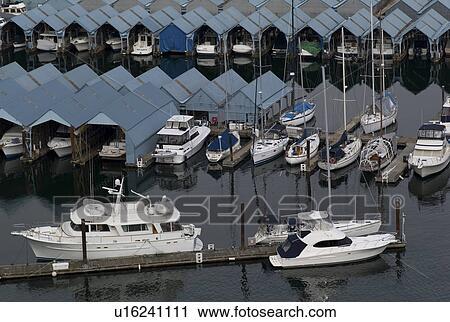 Boats at Vancouver Yacht Club harbour View Large Photo Image Stock Image - Boats at Vancouver Yacht Club harbour. Fotosearch