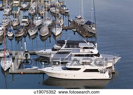 Boats at Vancouver Yacht Club harbour View Large Photo Image Stock Image - Boats at Vancouver Yacht Club harbour. Fotosearch