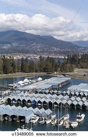 Boats at Vancouver Yacht Club harbour View Large Photo Image Stock Photography - Boats at Vancouver Yacht Club harbour. Fotosearch