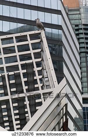 Building design in downtown Vancouver View Large Photo Image Stock Photograph - Building design in downtown Vancouver. Fotosearch