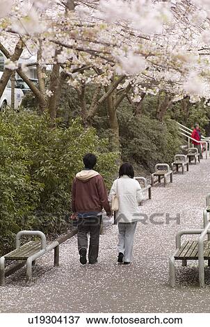 Couple walking down a path full of petals in Vancouver View Large Photo Image Stock Photo - Couple walking down a path full of petals in Vancouver. Fotosearch