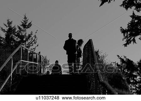 Silhouette of people at Stanley Park View Large Photo Image Stock Photo - Silhouette of people at Stanley Park. Fotosearch