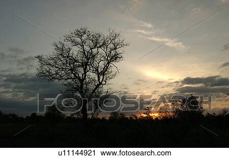 African Landscape View Large Photo Image Stock Image - African Landscape. Fotosearch