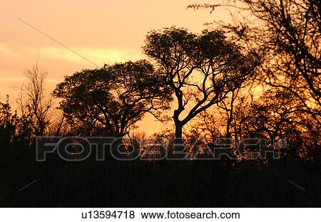 Stock Photo - African Landscape. Fotosearch