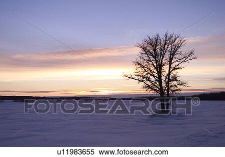 Beach - Gimli, Manitoba View Large Photo Image Stock Photography - Beach - Gimli, Manitoba. Fotosearch