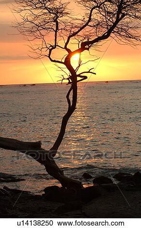 Big Island of Hawaii - sunset from beach View Large Photo Image Stock Image - Big Island of Hawaii - sunset from beach. Fotosearch