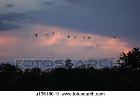 Lake Photography View Large Photo Image Stock Photo - Lake Photography. Fotosearch