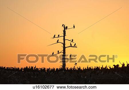 Lake Scenes View Large Photo Image Stock Photo - Lake Scenes. Fotosearch