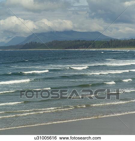 Seascape view, Wickaninnish Trail, Pacific Rim Park, Vancouver Island, Canada View Large Photo Image Stock Photograph - Seascape view, Wickaninnish Trail, Pacific Rim Park, Vancouver Island, Canada. Fotosearch