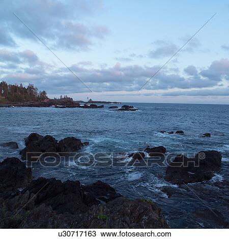 Shoreline, Pacific Rim Park, Vancouver Island, Canada View Large Photo Image Stock Image - Shoreline, Pacific Rim Park, Vancouver Island, Canada. Fotosearch