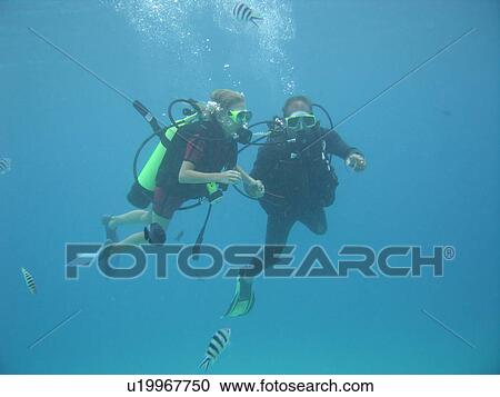 Stock Image - Underwater view of a young couple scuba diving, Moorea, Tahiti, French Polynesia, South Pacific. Fotosearch
