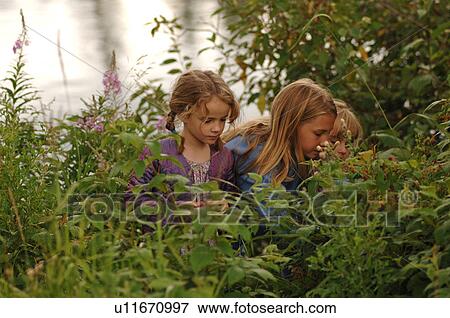 Children walking through bushes View Large Photo Image Stock Photo - Children walking through bushes. Fotosearch