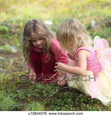 Two young girls picking flowers in the wilderness View Large Photo Image Stock Photo - Two young girls picking flowers in the wilderness. Fotosearch