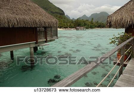 Corals seen in shallow water View Large Photo Image Stock Image - Corals seen in shallow water. Fotosearch