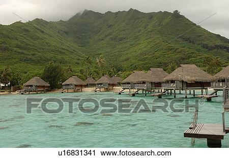 Thatched roof cottages built on stilts in the sea, Moorea, Tahiti, French Polynesia, South Pacific View Large Photo Image Stock Image - Thatched roof cottages built on stilts in the sea, Moorea, Tahiti, French Polynesia, South Pacific. Fotosearch