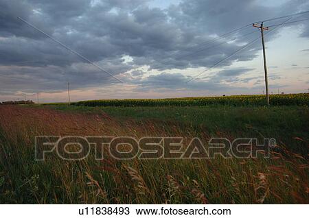 Stock Image - Farm field at twilight. Fotosearch
