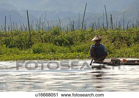 Farmer in boat along crops View Large Photo Image Stock Image - Farmer in boat along crops. Fotosearch
