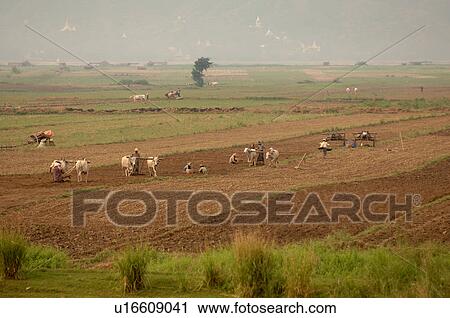 Farmers working the fields View Large Photo Image Stock Image - Farmers working the fields. Fotosearch