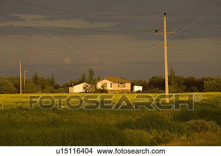 Picture - Farmland Lake of the Woods. Fotosearch