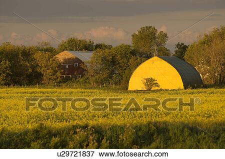 Farmland Lake of the Woods View Large Photo Image Stock Photo - Farmland Lake of the Woods. Fotosearch