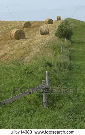 Stock Image - Manitoba Prairie Scenes. Fotosearch